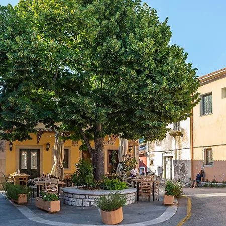 The Botzos - Terracotta & Olive Apartment *